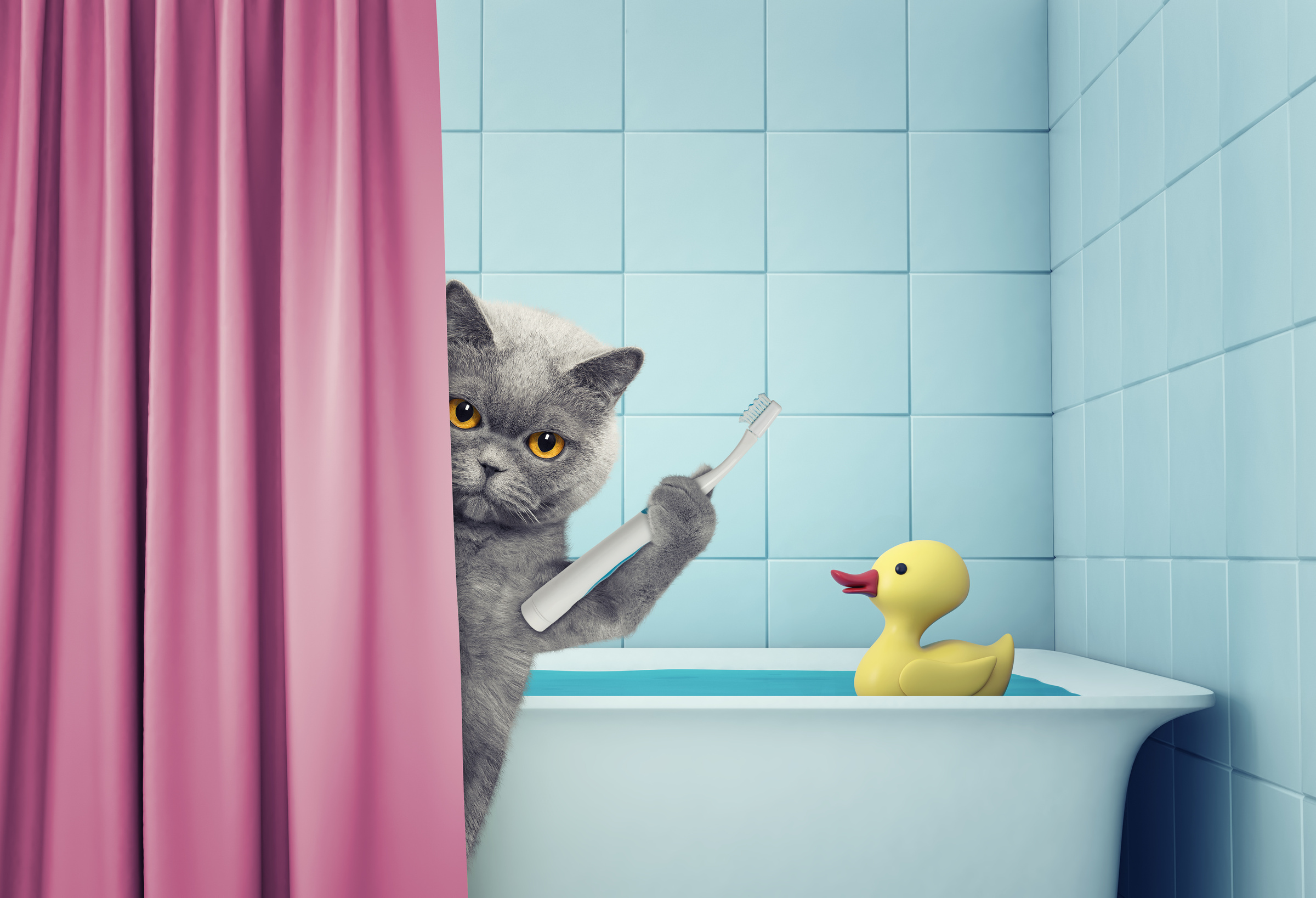 cute cat in the bath